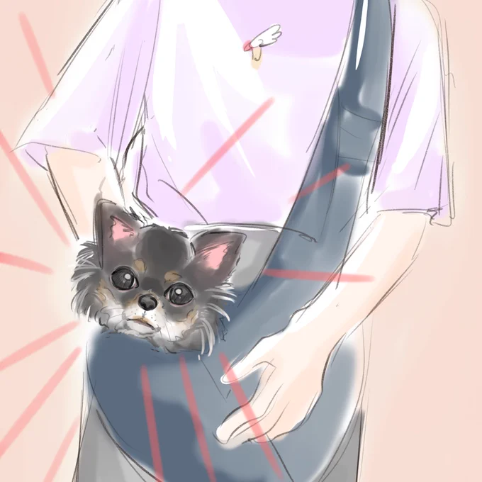 フォロワーの犬 