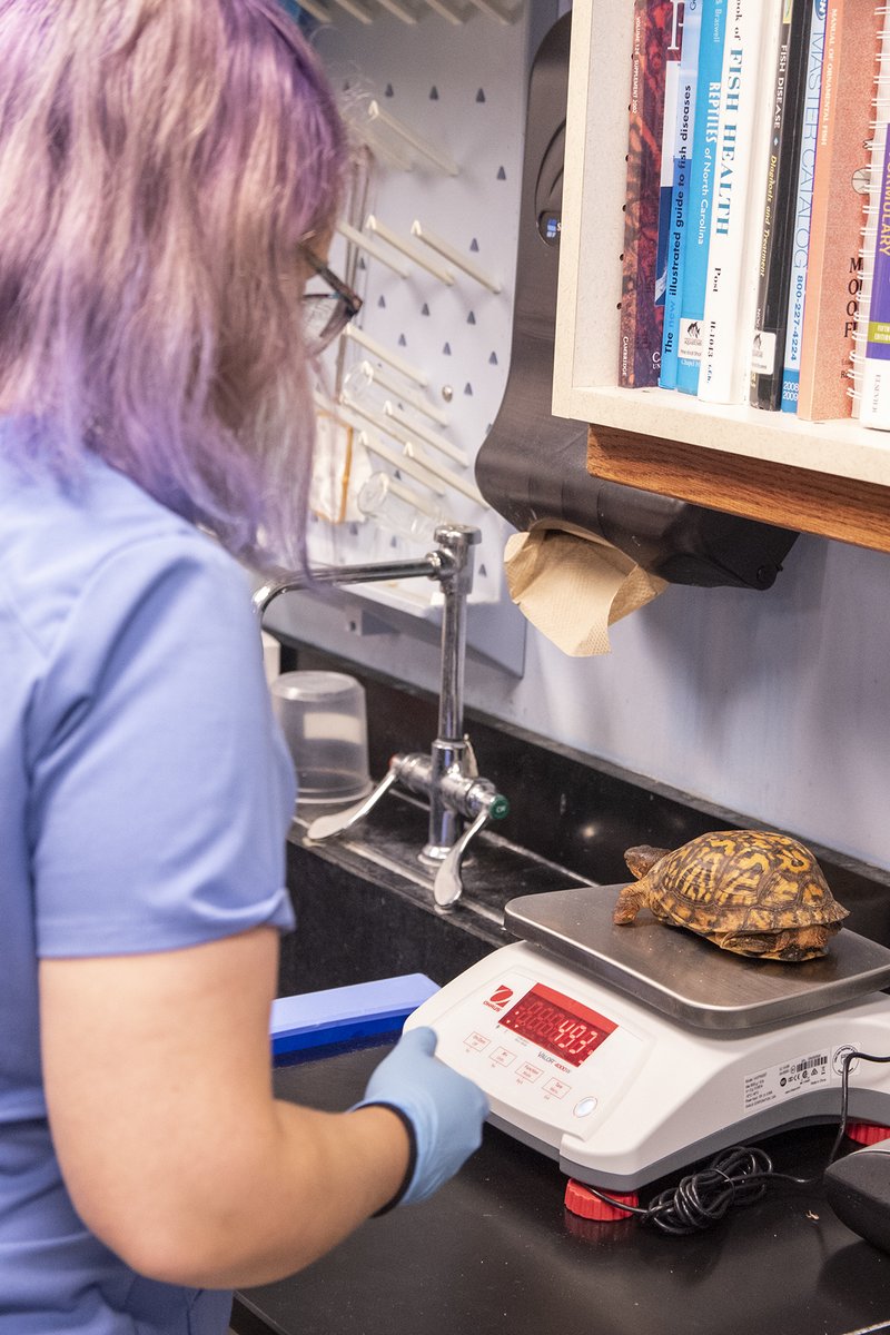 NC Aquarium at PKS tweet media