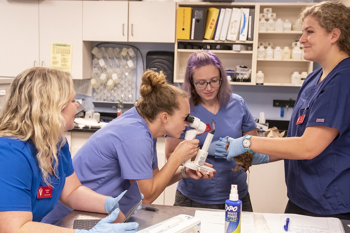 NC Aquarium at PKS tweet media