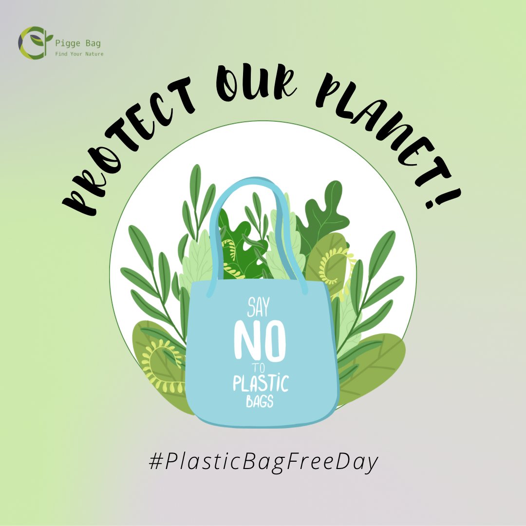 PiggeBags's tweet photo. A Better way to Carry Stuff we recommend Switching to Reusable and Biodegradable Plastic Bags instead of those made with Single use Plastic.
#biodegradablebags #biodegradableplasticbags #biodegradablegarbagebags #biocompostable #ecofriendlybags https://t.co/MpFkqssMSM