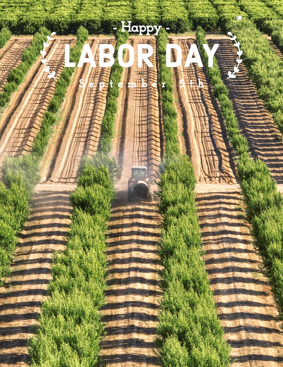 brandtfarms's tweet photo. Happy Labor Day! Thank you to all the workers that make the world go round. https://t.co/wmdnSeZApJ