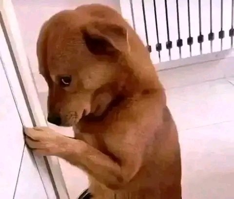 KoechKFelix's tweet image. "Where are my good friends from citizen tv?"
SK Macharia: