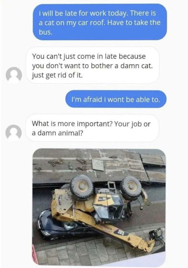 Fb5_V98XoAAIROD?format=jpg&name=medium