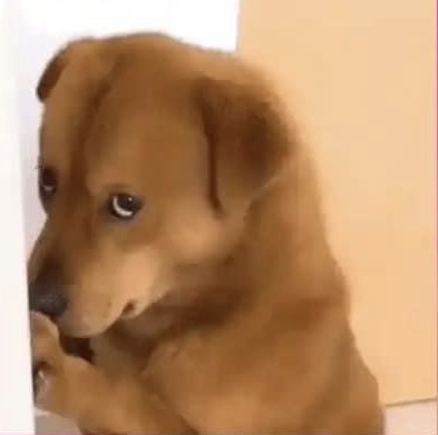 Cuando voy a una entrevista de trabajo y me dicen que ya me quede de una vez.