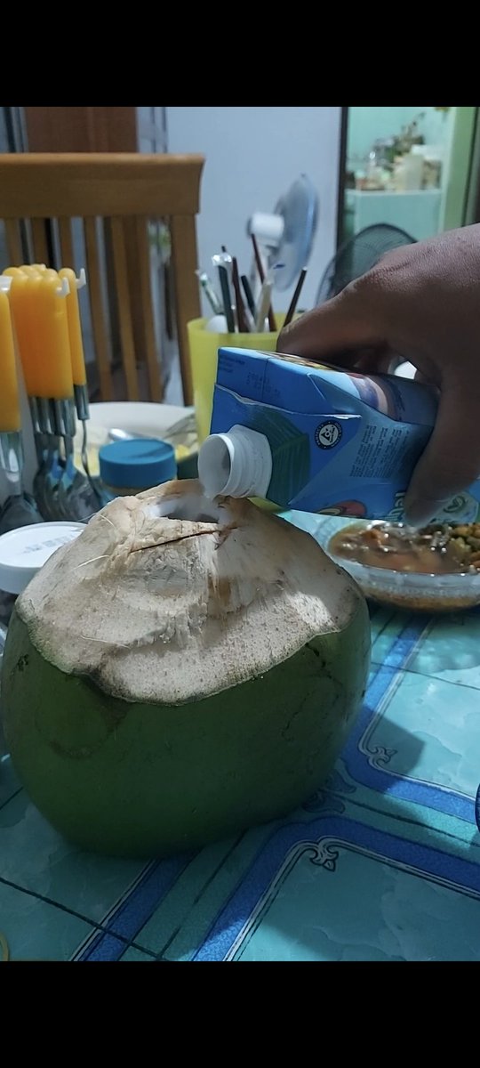 uruchan's tweet photo. When you want to drink "natural" coconut water but you can only get 2 and have a lot of siblings https://t.co/HHpGjEHHR0