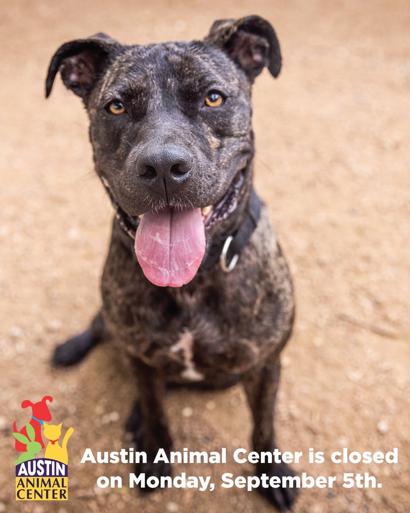 Austin Animal Center (@austinanimals) / Twitter