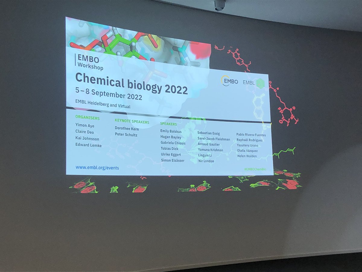 Hodgkinson Group (@hodguol) on Twitter photo Fantastic to be here at the 2022 #EMBOChemBio <a href="/EMBLHeidelberg/">EMBL Heidelberg</a>. It’s been a superb and stimulating first day.
And to cap it off, we (James and @joshsmalley15) will be presenting our poster #150 during the poster session later. 🤩 Can’t wait! Fantastic to be here at the 2022 #EMBOChemBio <a href="/EMBLHeidelberg/">EMBL Heidelberg</a>. It’s been a superb and stimulating first day.
And to cap it off, we (James and @joshsmalley15) will be presenting our poster #150 during the poster session later. 🤩 Can’t wait!