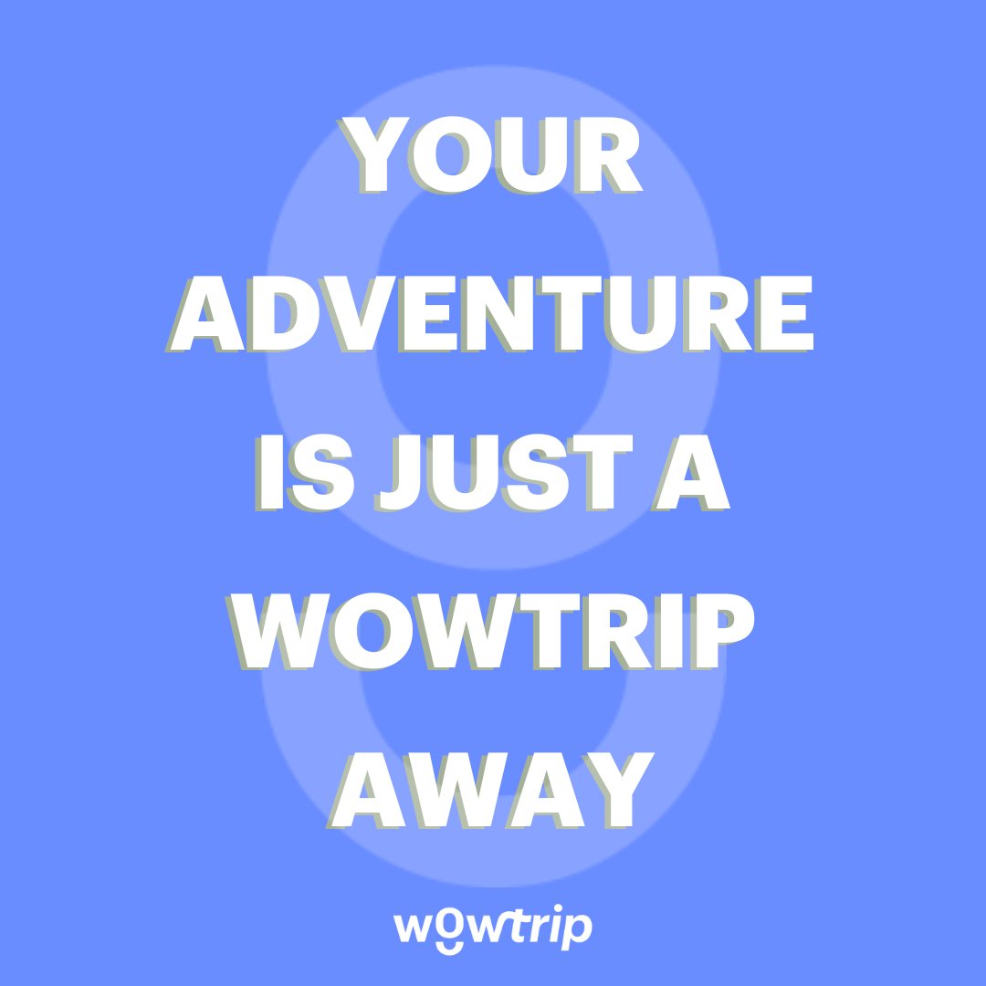 Wowtrip tweet media