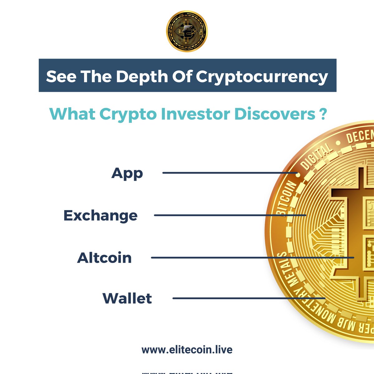 EliteCoin2's tweet photo. The more your knowledge gets in the depth of crypto assets, the more likely you’ll likely to predict the uncertainties in the market cycle. 
For more information follow our page 
@elitecoin2021
https://t.co/uezgJCiRHU
#cryptocurrency #cryptocurrencynews https://t.co/WT2CES98qf