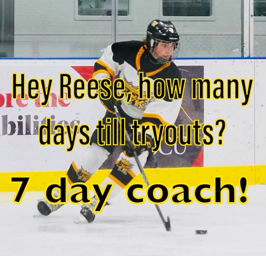 7 days until tryouts. Register at <a href="/hockeybrandon17/">Hockey Brandon</a>