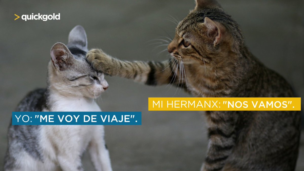 quickgoldQG's tweet photo. #FelizDíadelHermano https://t.co/hbCzyF5T2V