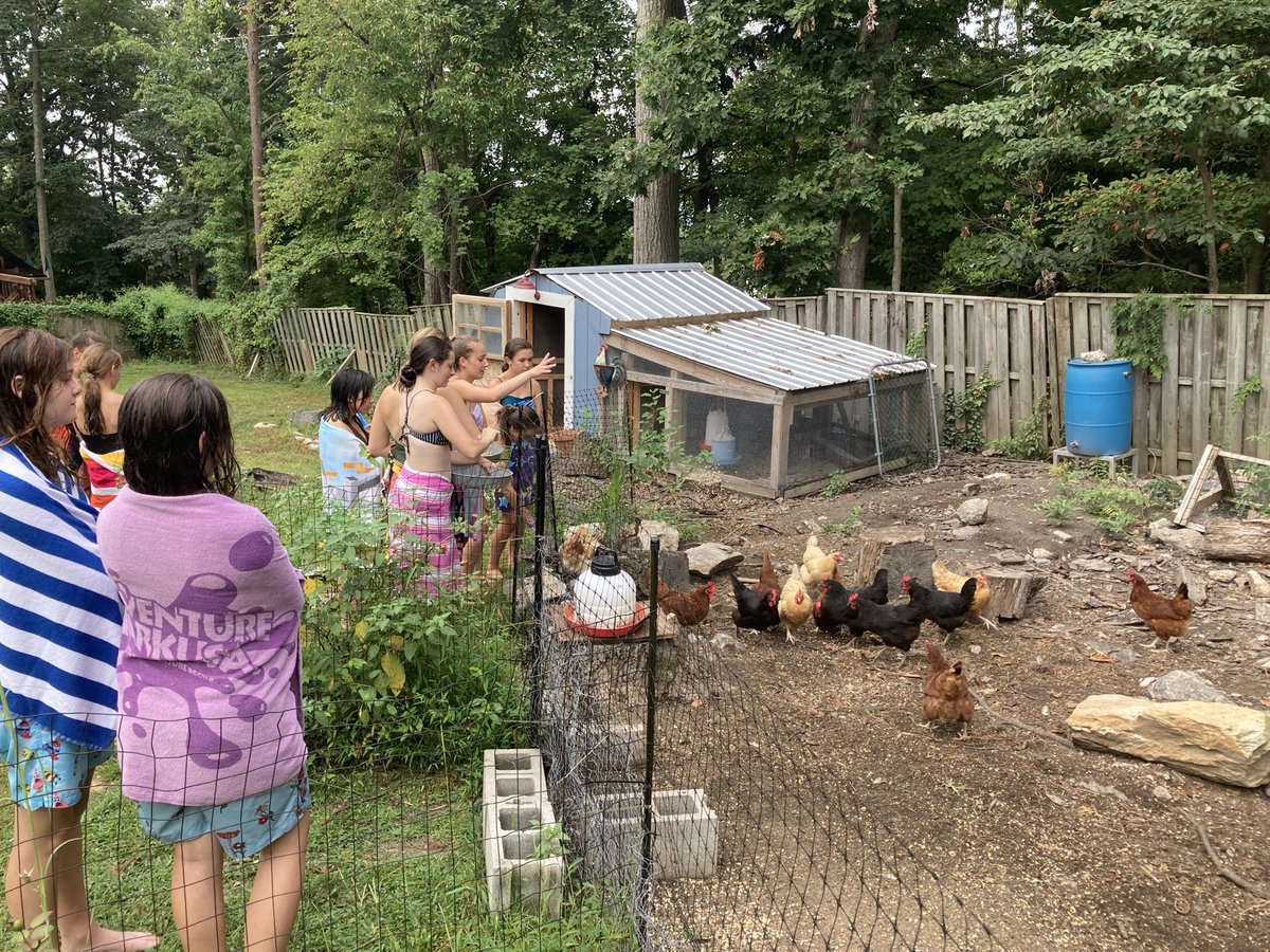 Great shakeout run this morning. Finished up at Abby’s pool and fed the chickens. Go Bears!!
