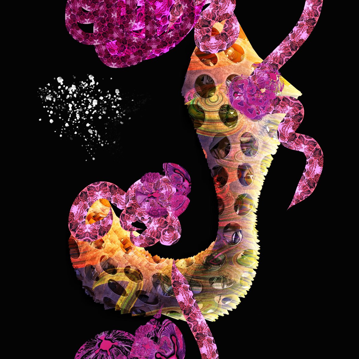 RΞNATAJIJI/renatajaniszewska.eth tweet media