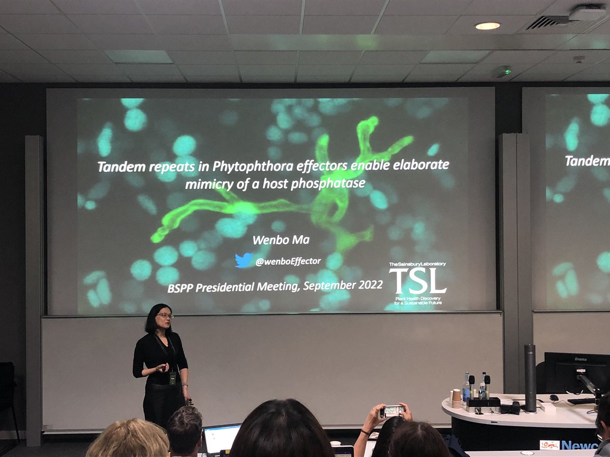 michhulin's tweet photo. Beautiful talk by my super PI @wenboEffector on phytophthora effector evolution by modularity #bspp2022 https://t.co/XvuCi5sALy