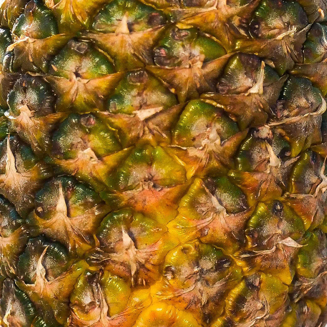 NeptuneRum's tweet photo. BOOM CHARRED PINEAPPLE 🍍🔥🍍
Award-winning aged Caribbean rums with a flavour burst of charred pineapple. Pre-order. https://t.co/rb8RrcqW21
#neptunerum #rum #IconicCollection #bartentenders #cocktails #caribbean #new #ocean #colour #fruit #pineapplerum https://t.co/0ogMo2DXQa