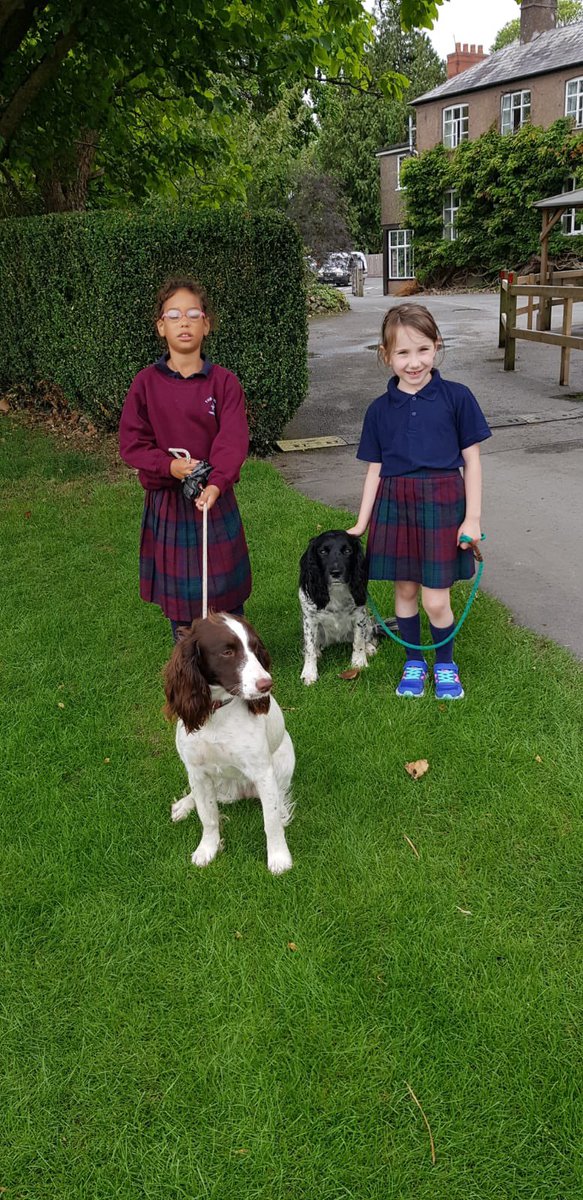 How many schools have dog monitors?! Year 2 are lucky to have Squeaky and Nala in the classroom to help with their learning.  #inspirationalstart #dogsinschool