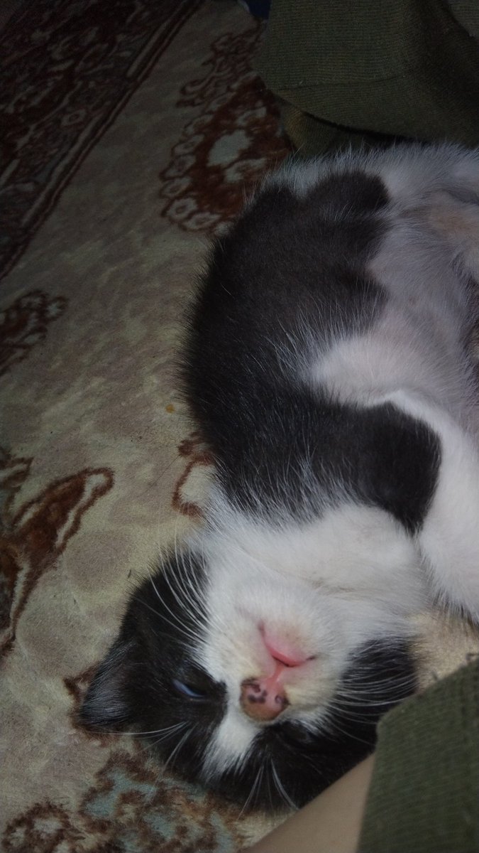 Jeayi_'s tweet photo. @roastednchn https://t.co/FrQ3dfS26X