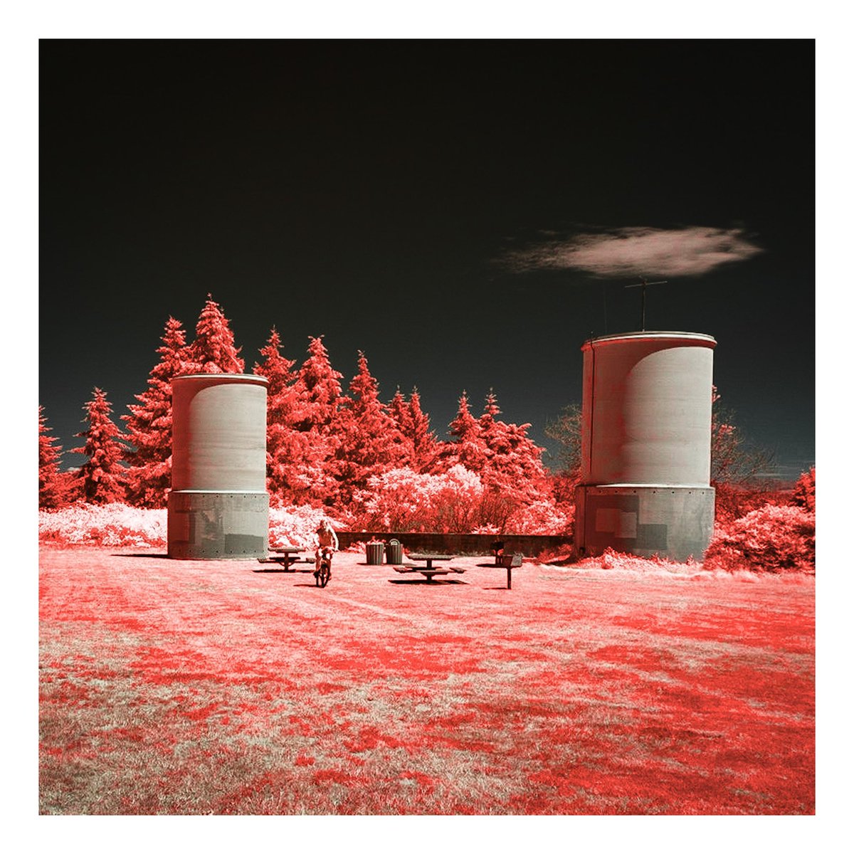 olhausenphoto's tweet photo. Escape at Aubrey Davis Park in Infrared No. I
.
.
.
#infrared #infraredphotography #infraredphoto #infrared_images #infraredimage #infraredimages #invisiblelight #infrared_global #infrared_photography #canonphotography #eos #canonphoto #canoneos #seattle #mercerisland #escape https://t.co/7XDYauRHjS