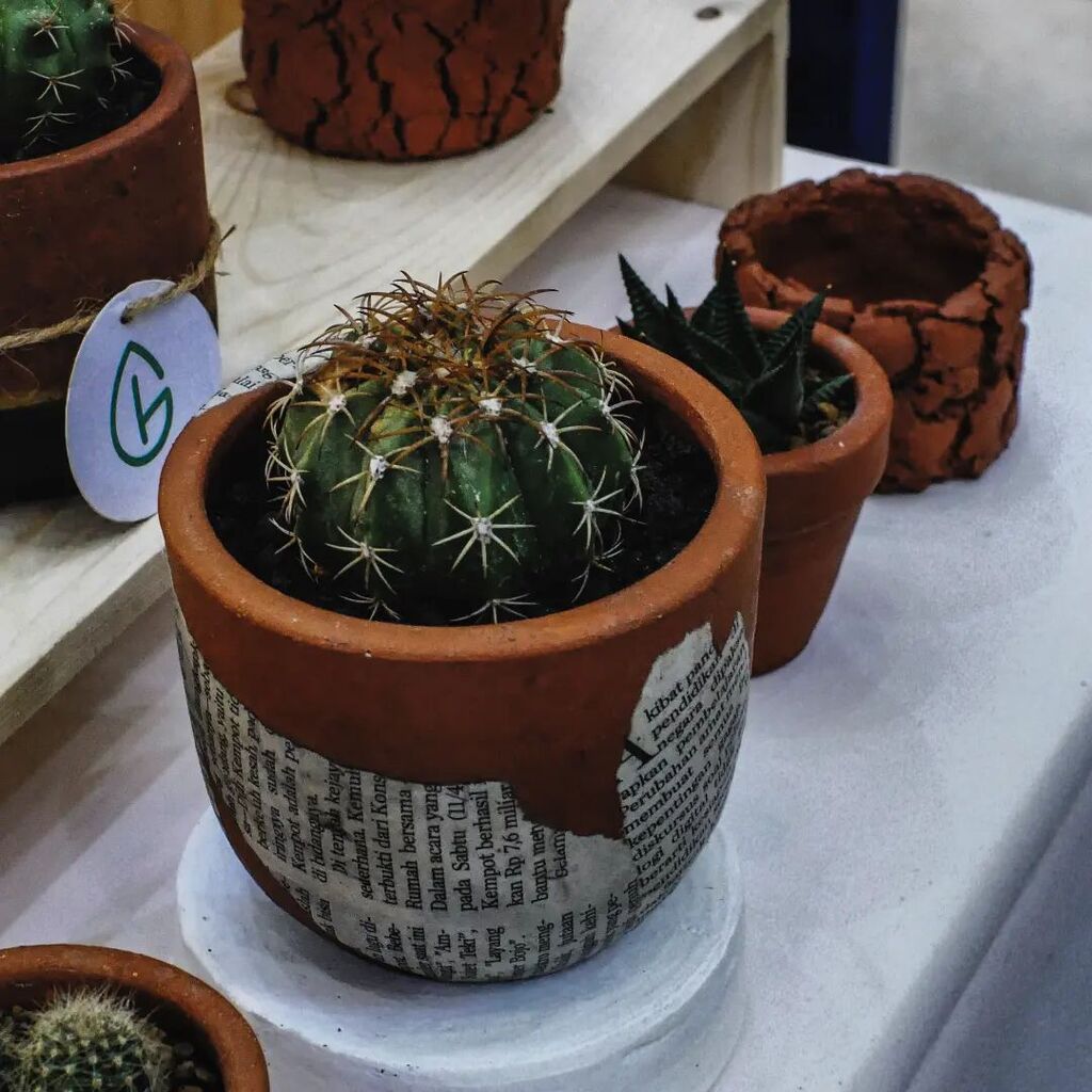grinkana's tweet photo. Hello ohio...!!!
We're masih stay with the little fabulous cactus yang cool abiiiis tentunya, hehehe!!
.
#cactus #terracotta #pottery #indoorplants #urbanplanting #homedeco #greenerydecor https://t.co/5kqElI3kkN