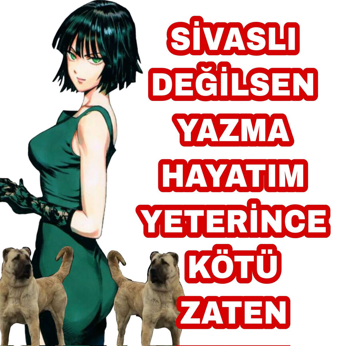 Zuzu Chan (@zuarchiv) on Twitter photo 