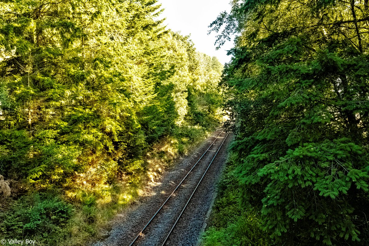 BJRoberts's tweet photo. The Conwy Valley Line enters Betws-y-Coed station via some stunning Conwy Valley and Gwydir Forest views. @Ruth_ITV @kelseyredmore @ItsYourWales @northwaleslive @northwalescom @AllThingsCymru @OurWelshLife @NWalesSocial #BetwsyCoed #ConwyValleyLine #GwydirForest #Snowdonia #Wales https://t.co/JECzjvFMoj