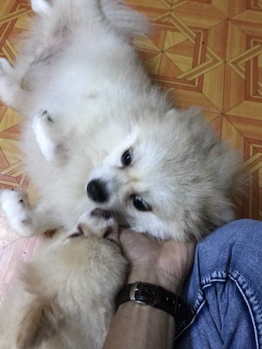 JustrnJr's tweet photo. ❤️❤️❤️ https://t.co/xa97zzOAB7