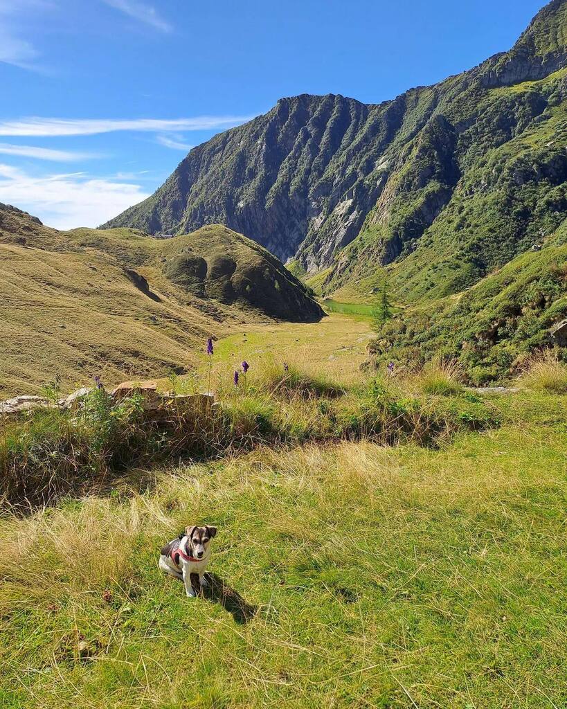 📍Lago di Baranca
📸 <a href="/valentina/">valentina de santis</a>.gorla 
🔍 selezionato da <a href="/blurissimo/">Roberto Maggio</a> 
#⃣ usa #igersvercelli #instagramersvercelli e tagga <a href="/igers_vercelli/">Instagramers Vercelli</a> nelle tue più belle foto piemontesi per essere repostato👍🏼
.
.
.
.
#whatitalyis #browsingitaly #igersvercelli #igerspiemonte #liveauthentic …