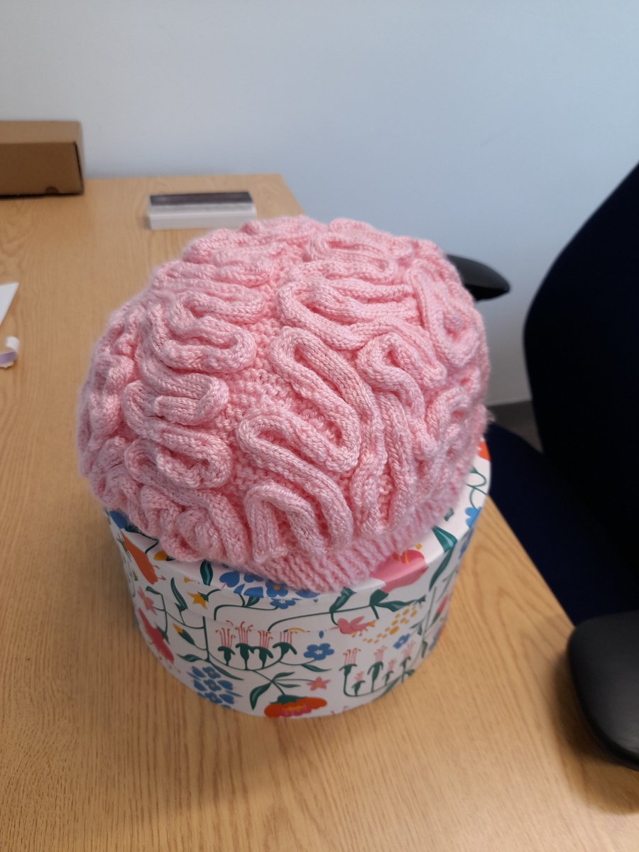 Neurocool's tweet photo. Our awesome Freda @MRC_LMB does it again! A woolly brain hat to keep my brain toasty during the winter months! Thank you Freda! @ONeill_Lab #BrainTemp π₯°π§ π₯ https://t.co/kcxX5g9oe0