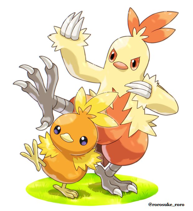 「torchic bird」Fan Art(Latest)