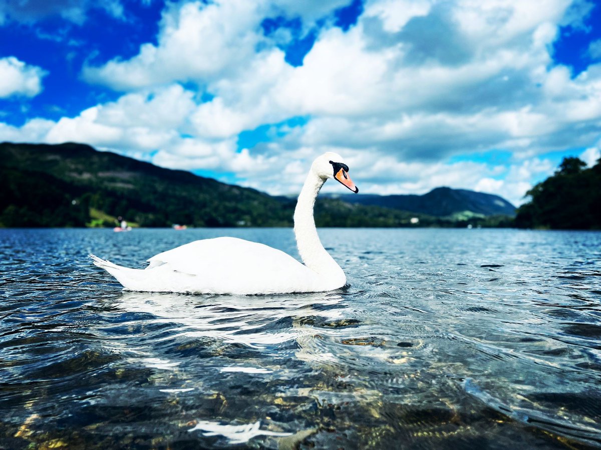 rankprize's tweet photo. We're busy making the final arrangements for our Rank Symposium on Neural Processing which is about to begin in Grasmere. Oh, and enjoying the view! @betti_sm @RPC_Wordsworth #LakeDistrict #optoelectronics https://t.co/sd8eBS9xcs