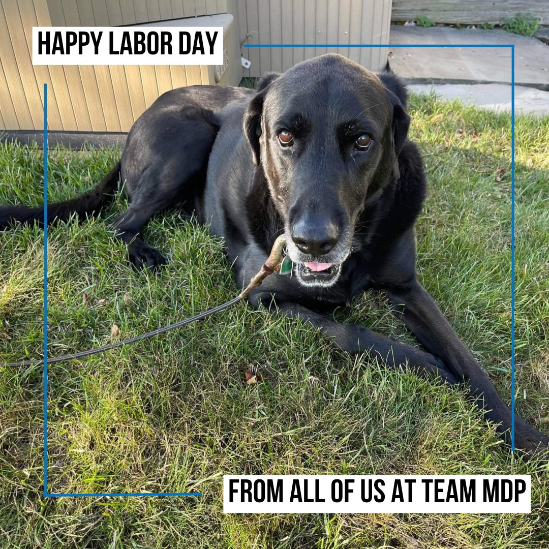 actual endorsement here. labor unions = most importent &amp; we must protec 🇺🇸