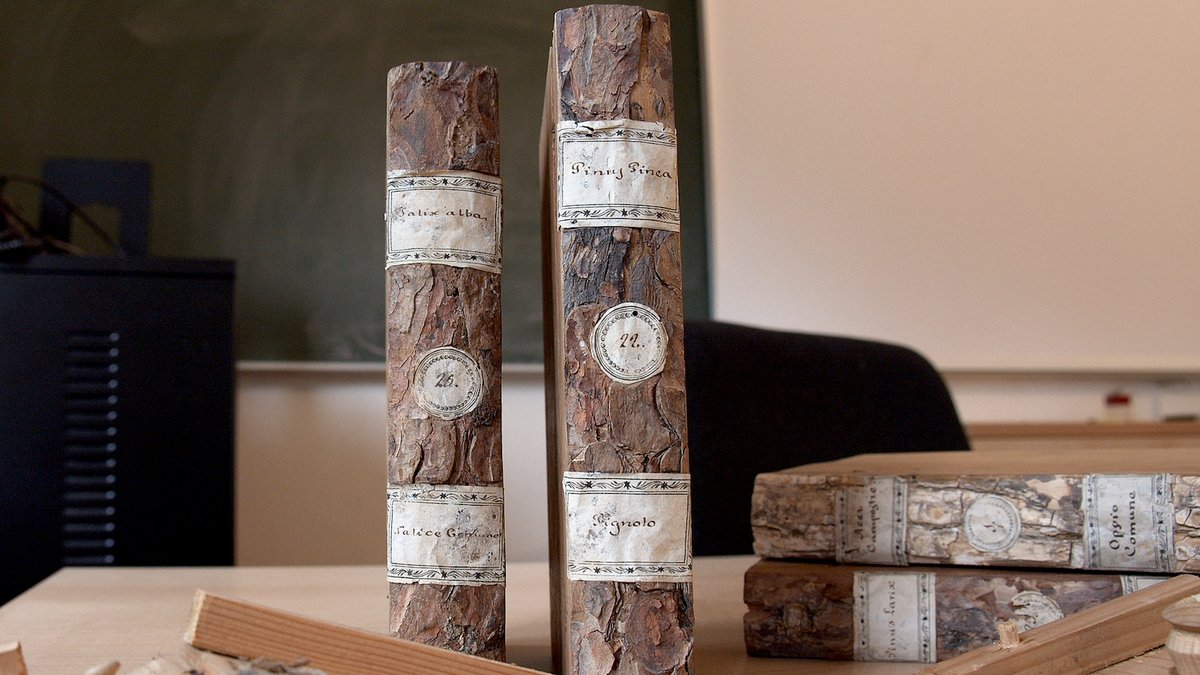 IlBoLive's tweet photo. #PezzidaMuseo
Il Centro studi per l'ambiente alpino di San Vito di Cadore custodisce una collezione di #libri in legno, una #xiloteca con opere uniche tra #scienza, tecnica e bellezza artigiana. 

https://t.co/gcdltSCSjd https://t.co/ZBdjYDqOi2