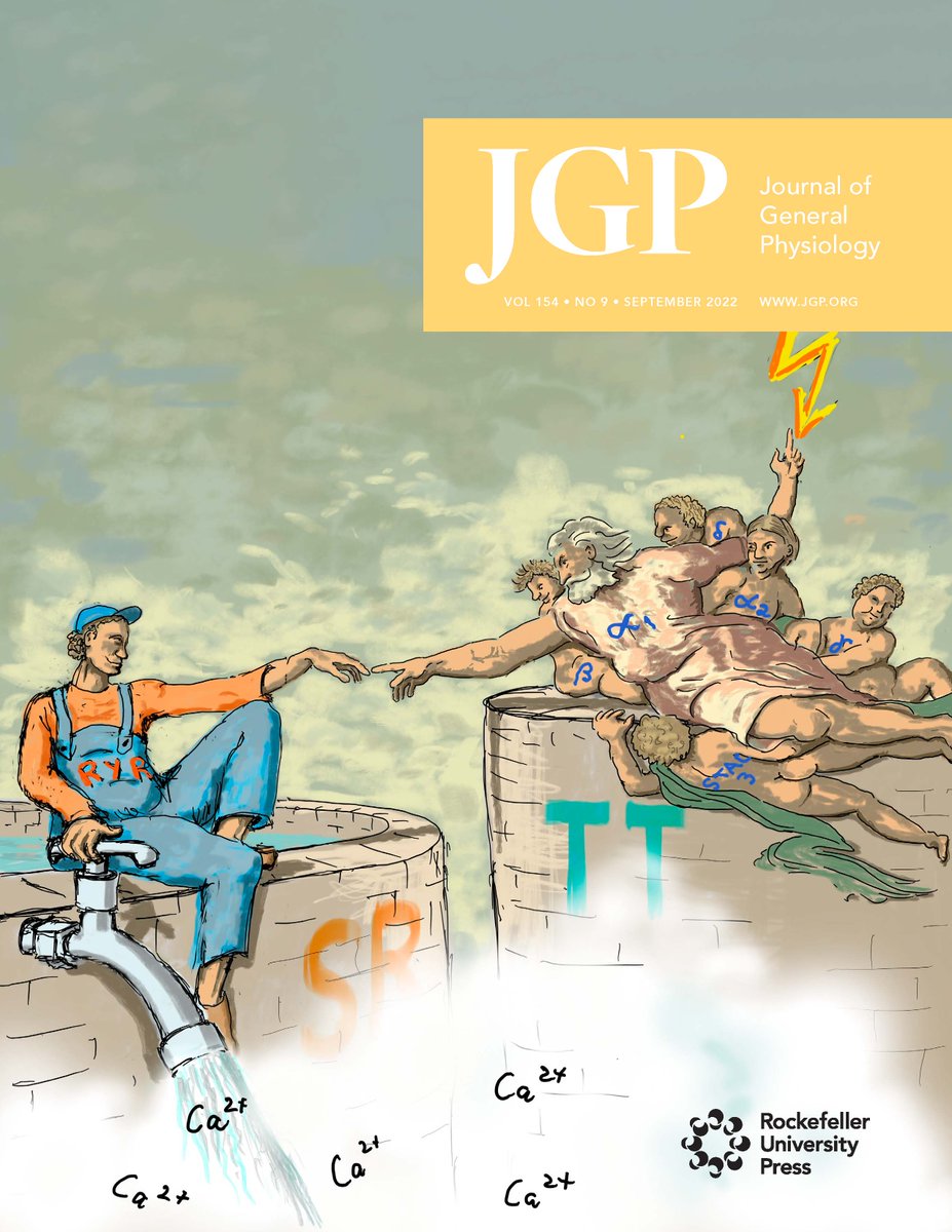Journal of General Physiology (@jgenphysiol) on Twitter photo This month, we present a special thematic issue (bit.ly/32aBOou) on the excitation–contraction coupling in cardiac, skeletal, and smooth muscle. Read the editorial from Robert Dirksen, <a href="/DavidAEisner/">David Eisner</a>, Eduardo Ríos & Karin Sipido: bit.ly/3B022c8
#ECCoupling This month, we present a special thematic issue (bit.ly/32aBOou) on the excitation–contraction coupling in cardiac, skeletal, and smooth muscle. Read the editorial from Robert Dirksen, <a href="/DavidAEisner/">David Eisner</a>, Eduardo Ríos & Karin Sipido: bit.ly/3B022c8
#ECCoupling