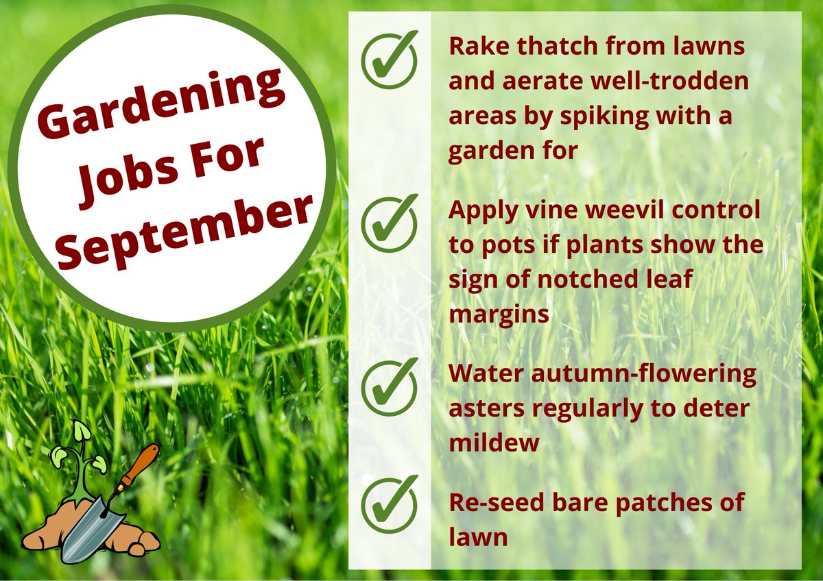 AgrigemLtd's tweet photo. With September in full swing, why not take a look at this months gardening jobs to make your grass and plants flourish 🌱🍁

Head to our website, to help you with your gardening jobs >> https://t.co/raWbdpaa0S

#gardening #setforsummer #Lawn https://t.co/l3C0qjBtqB