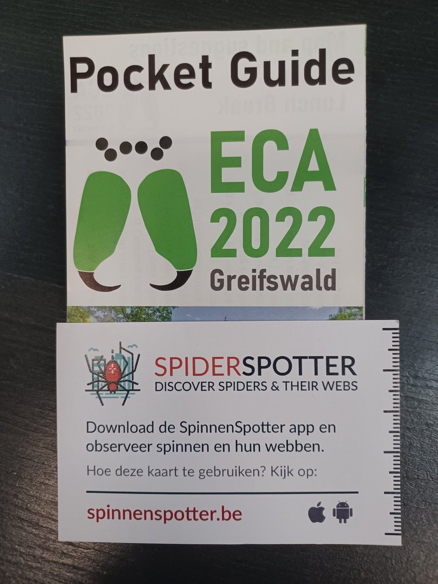 spiderspotter's tweet photo. Want to join the spin-city project and collect spider data in cities? You can find me at #ECA2022!! #arachnology2022 https://t.co/bEl4HfcQMc