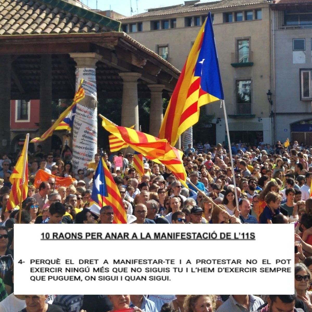 ANC Sant Celoni tweet media
