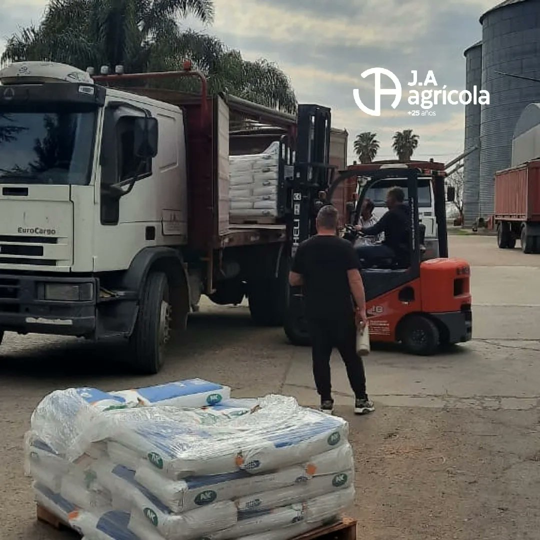 JA_AGRICOLA's tweet photo. #CampañaMaíz 🌽
Lo pedís 📲
Lo tenés 🙋🏻‍♂️
▪️Híbrido 🌽 NK 890 VIP3 @NKSemillas
#JAAgrícola 
#NKRinde #Maíz 
#Tecnología #Rinde 
#Sanidad #NK890Vip3 https://t.co/p9LzFkPOuP