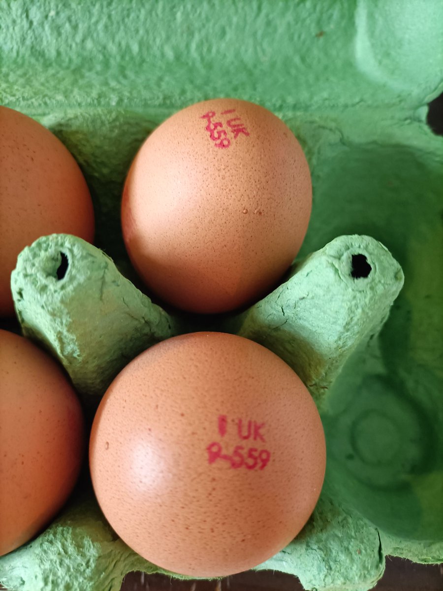 Hey <a href="/lidl_ireland/">Lidl Ireland</a> "Free Range Irish Eggs" but they have a UK stamp on them?!?!?!