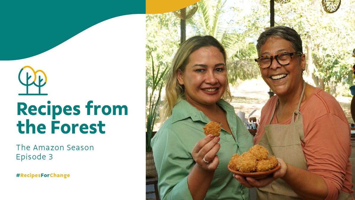 September 5th is the Amazon Day! Lets watch the 3rd episode of Recipes from the Forest and reflect on the importance of protecting the environment. 

Our chef Kátia Barbosa learns about the Brazil nut trees. Watch it at cutt.ly/RClmB5M