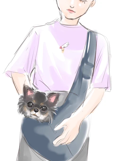 フォロワーの犬 
