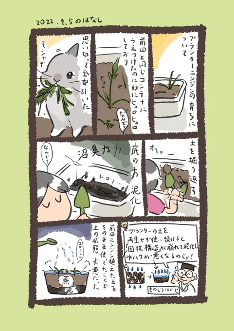 今日のcarrot…🥕

#うさぎのいる生活 