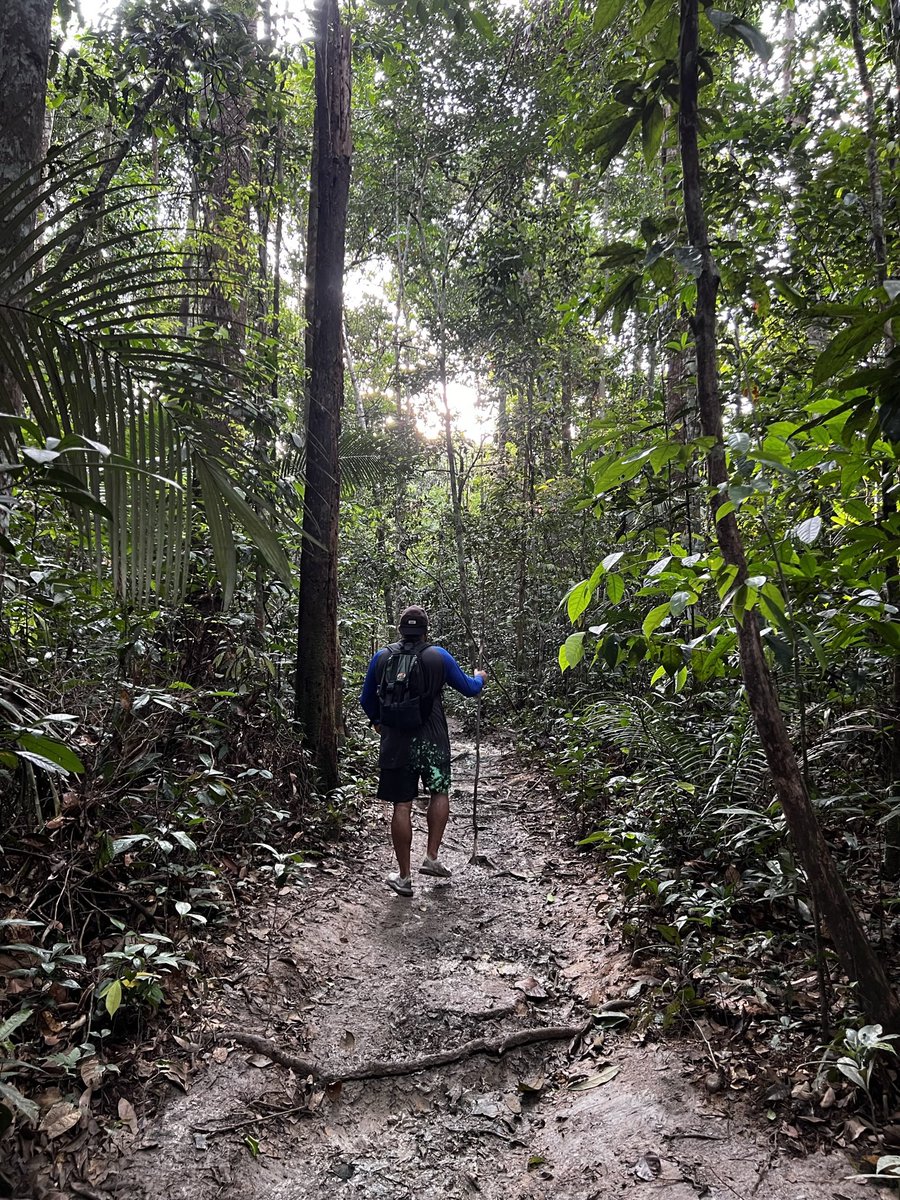 favelaeods's tweet photo. Hoje é o #diadaamazonia e eu queria dizer: TE AMO, AMAZÔNIA.  A tua importância. A tua energia. O teu significado. Como eu quero que o mundo te queira de pé. Mãe e vidas da Amazônia, VIVAS! O nascer e renascer passa por ti. E eu sou grato a isso! 🌳
@amazoniamaedobr https://t.co/uFjeRs3s4M