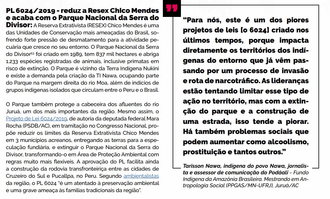 E o PL 6024/2019, que acaba com a Reserva Chico Mendes e reduz o Parque Nacional Serra do Divisor, abrindo espaço para uma estrada que liga o Brasil ao oceano pacífico. Para <a href="/tarissonnawa/">Tarisson Nawa</a>, é um atentado contra a preservação ambiental e os povos indígenas.