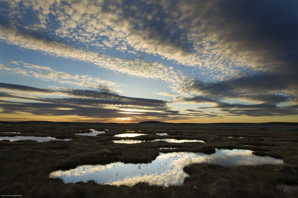 The Wildlife Trusts tweet media