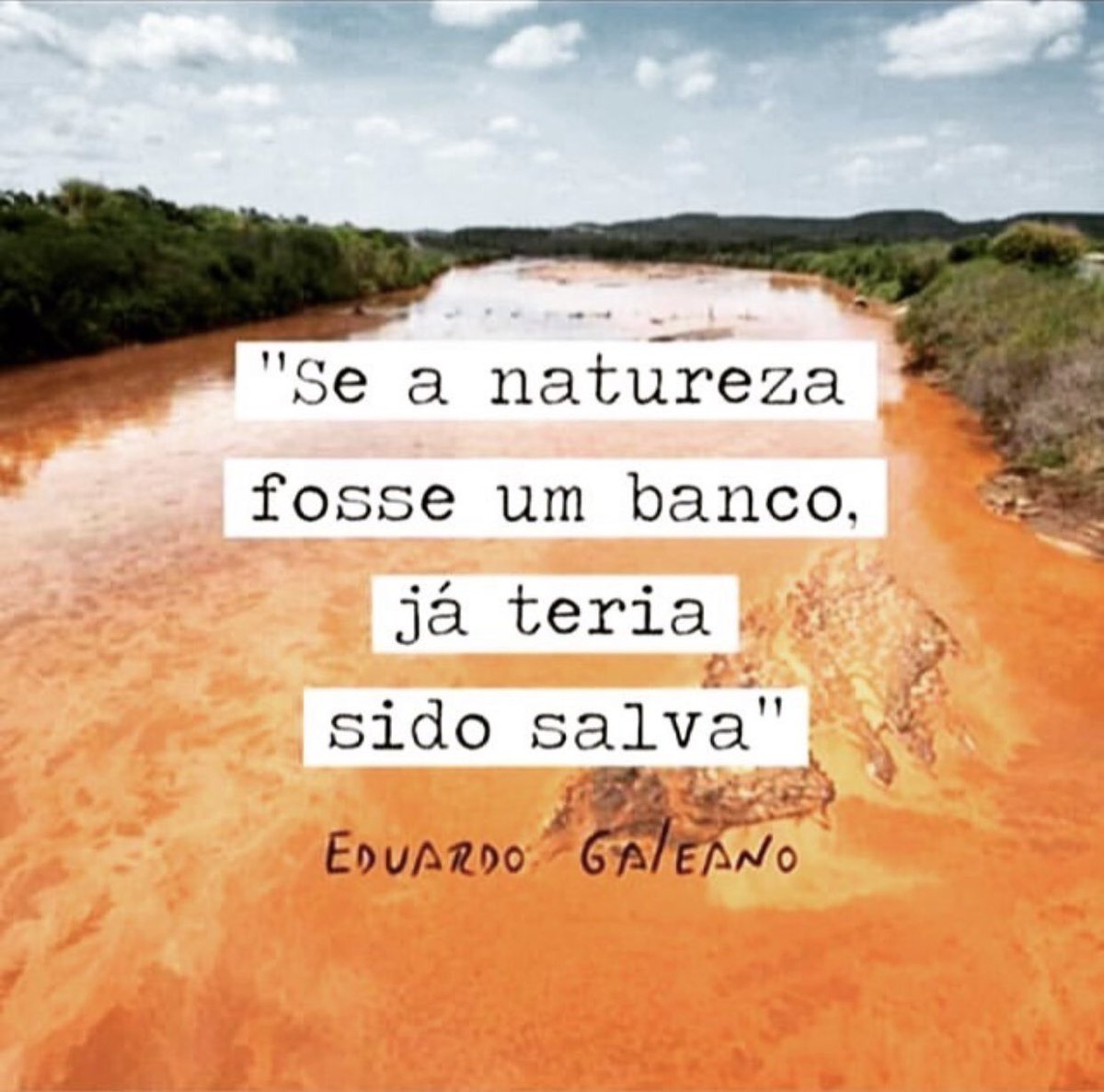 Ibasenet's tweet photo. Hoje é o Dia da Amazônia, instituído pela Lei nº 11.621, de 19 de dezembro de 2007, com o objetivo de conscientizar sobre a importância da maior floresta tropical do mundo e de sua biodiversidade para o planeta. 
Tem lei, tem data. Mas falta respeito. 
#5desetembro #diadaamazonia https://t.co/V5l0346tiN