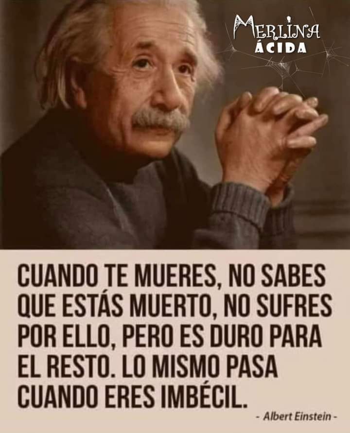 ArturoArayaAlf2's tweet photo. Nada más que decir .. https://t.co/XNpWn3ubg9