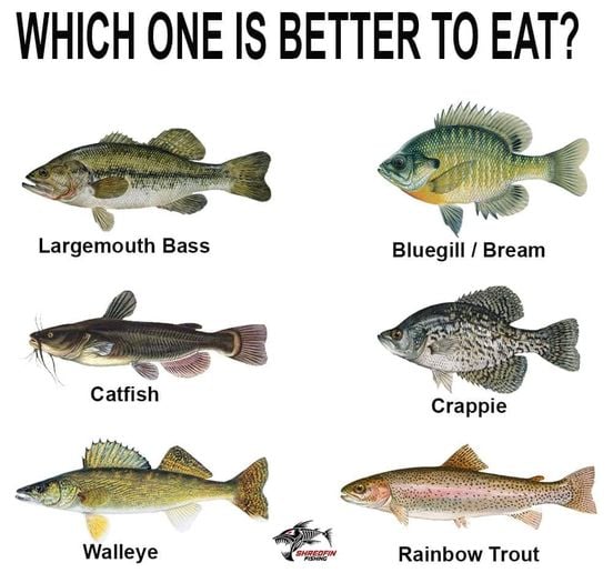 Jennifer tweet media