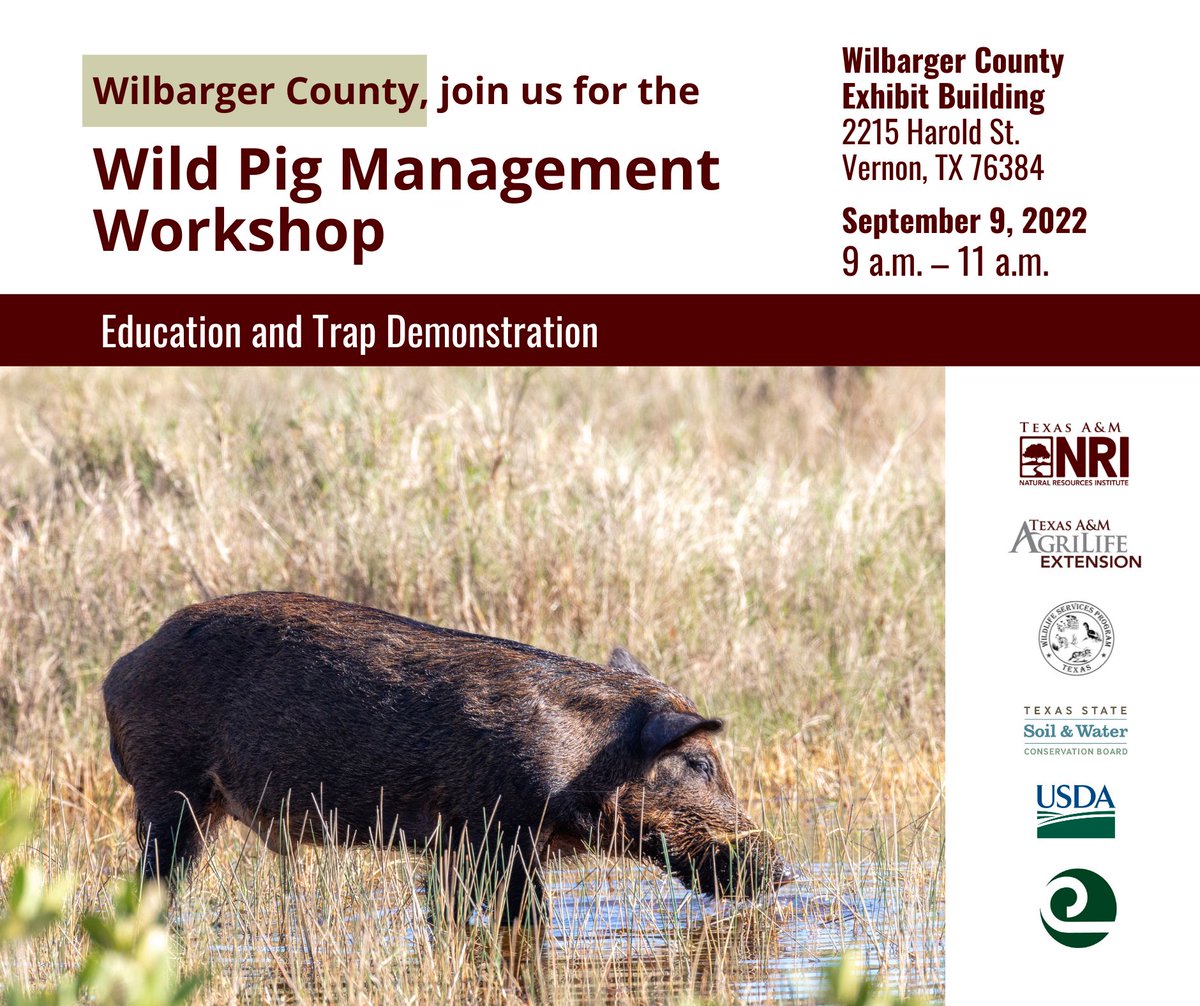 Feral Hogs CoP tweet media