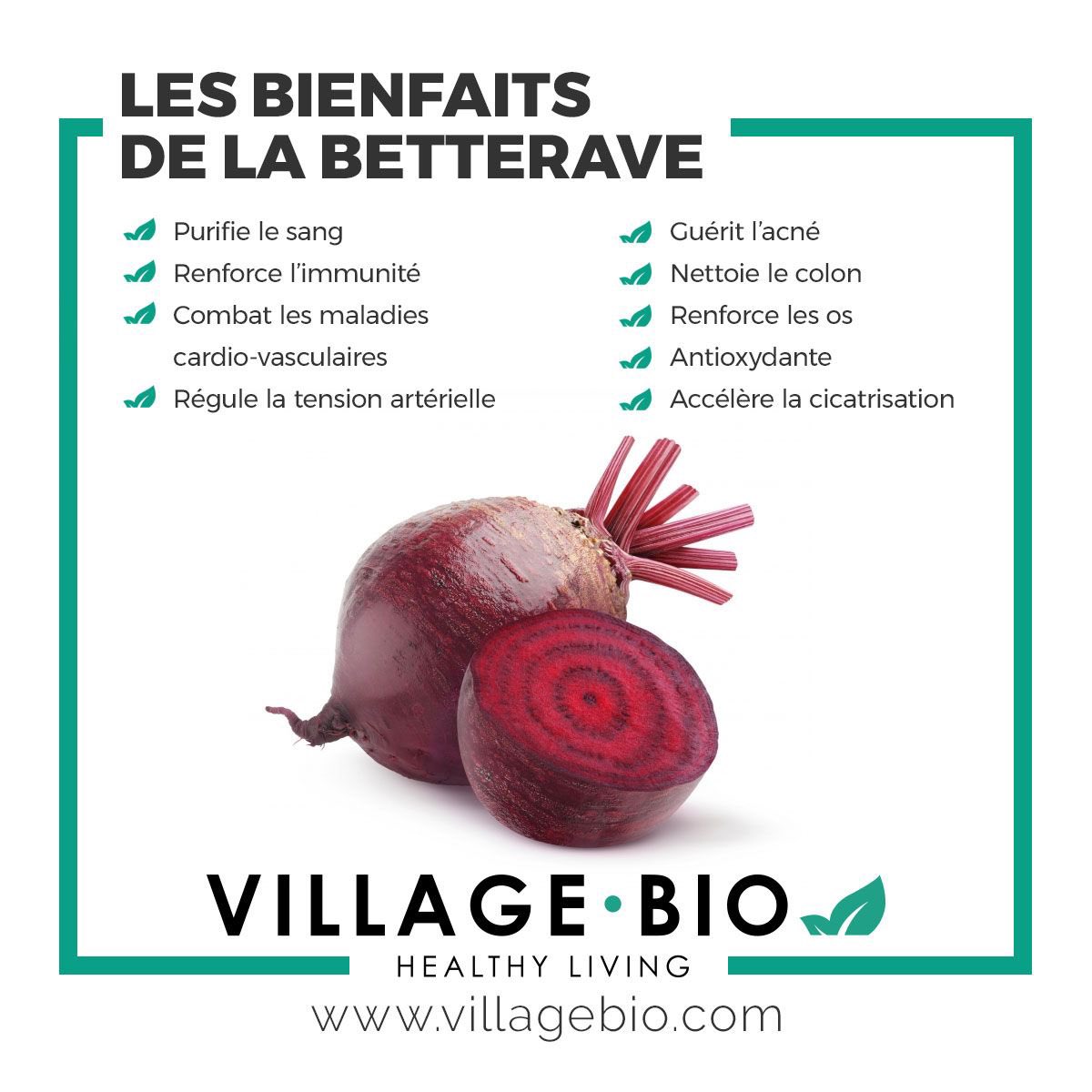 pres_reine's tweet photo. Si vous pouvez manger beaucoup de betteraves.. ça #nettoie le #système. Les #betteraves ont plusieurs #vertus!! #anticancer #systèmeImmunitaire #circulationsanguine #antioxydant #anémie #purifielesang https://t.co/yJDDtbT809