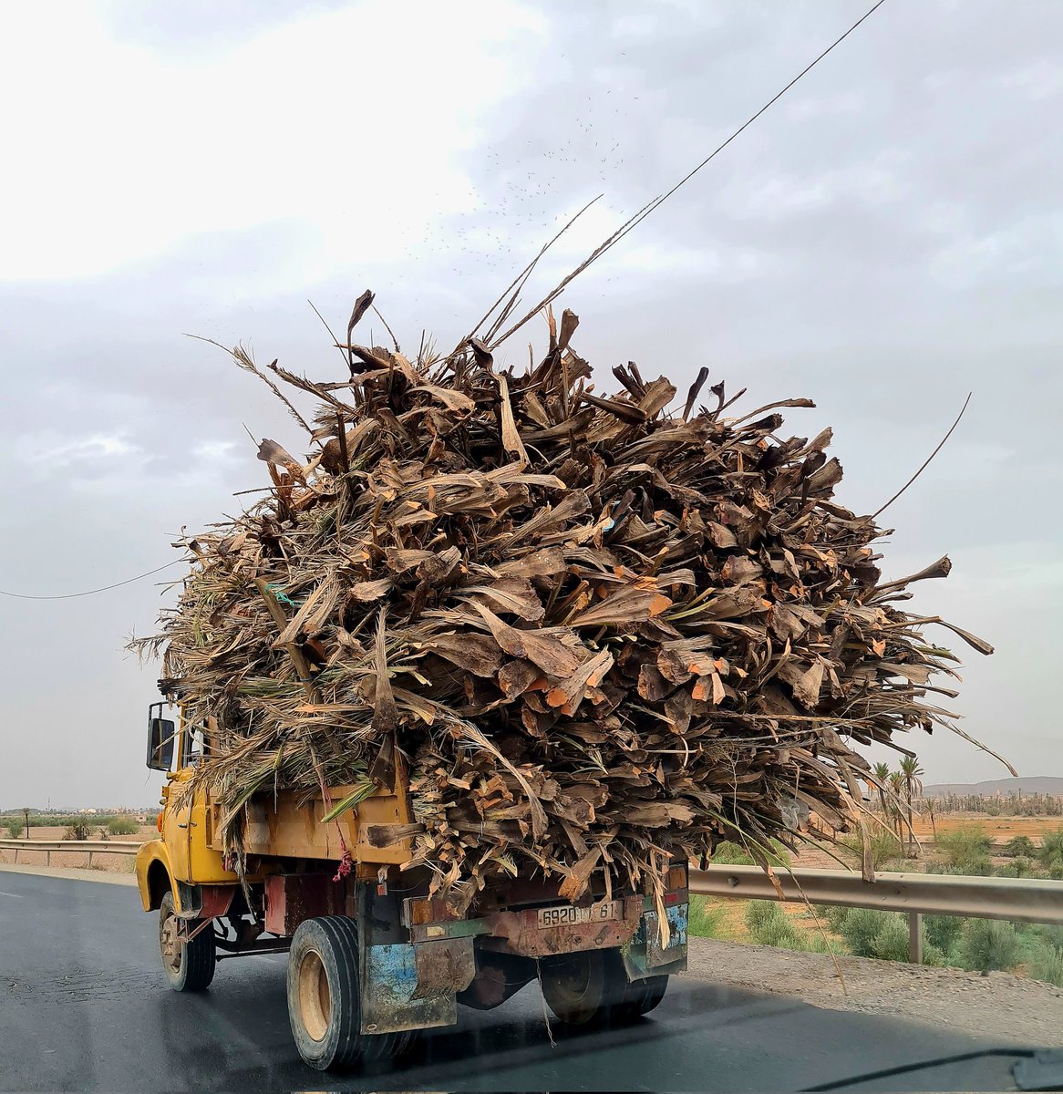 Old Berliet truck flying along, streaming debris from the Palmeraie #marrakesh #morocco #maroc #marokko